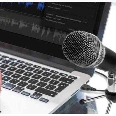 Microfon Profesional de inregistrare vocala si Karaoke pentru Studio WG 500II