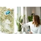 Perie MultiScrubber 2 in 1 pentru spalare si lustruire