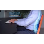 Perna ergonomica Comfy Curve Gri cu albastru pentru sustinere lombara si spate
