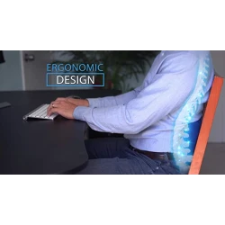 Perna ergonomica Comfy Curve Gri cu albastru pentru sustinere lombara si spate