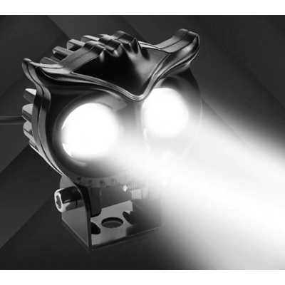 Proiector LED auto cu 2 FAZE putere 30W 6000K model bufnita