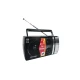Radio LT-LW 10 Portabil cu boxa puternica