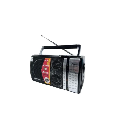 Radio LT-LW 10 Portabil cu boxa puternica