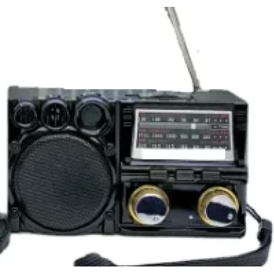 Radio multifunctional Andowl Q SY621 FM/AM/SW