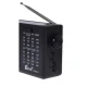 Radio portabil cu incarcare solara si acumulator portabil FP 801 S