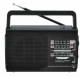 Radio portabil FP-1371