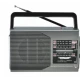Radio portabil FP-1371
