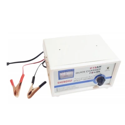 Redresor auto C15AH tip acumulator 20A