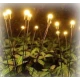 Set 2 Lampi solare LED Alb Cald cu 6 bulbi decoratiune gradina licurici