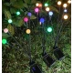Set 2 lampi solare model LICURICI 6 Led multicolor