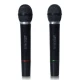 Set 2 Microfoane A306 10 m, emisie FM