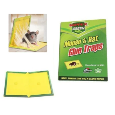 UB Set 4 Capcana cu lipici pentru soareci si sobolani Lure traps