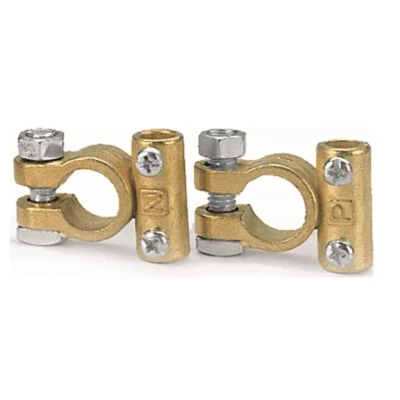 Set Borne Baterie Auto