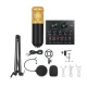 Set Microfon Profesional MIC8