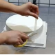 Suport Sustinere Tort Multietajat 20 CM