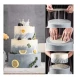 Suport Sustinere Tort Multietajat 20 CM