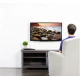 Suport TV de perete 14''-55'' reglabil 50 kg