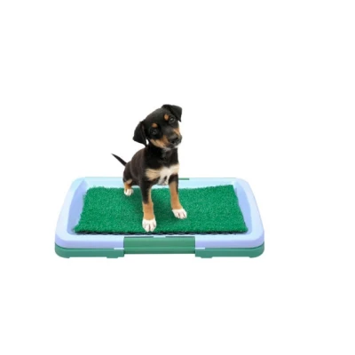Tavita Toaleta cu iarba artificiala pentru animale Puppy Potty Pad