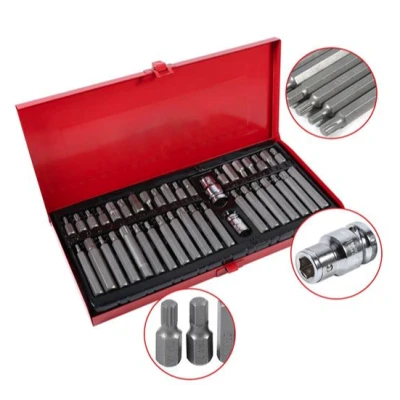 Trusa 41 biti torx Rico profesional