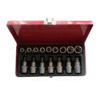 Trusa MLG-2029 16 piese chei tubulare capete biti torx