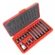 Trusa profesionala de scule 15 piese Biti Torx H10