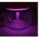 Umidificator Iluminat 8 LED uri 2W ABS 400 ml Transparent ANDOWL QZJ987