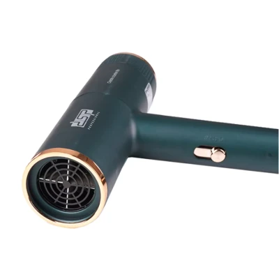 Uscator de par profesional DSP cu 2 trepte viteza si 2 trepte temperatura