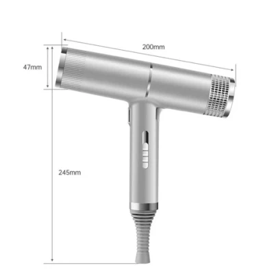 Uscator de par Profesional Q-M620 2200W