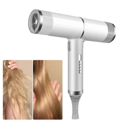 Uscator de par Profesional Q-M620 2200W
