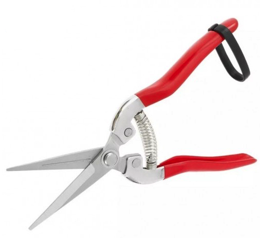 Aceasta este imaginea corespunzatoare acestui obiect