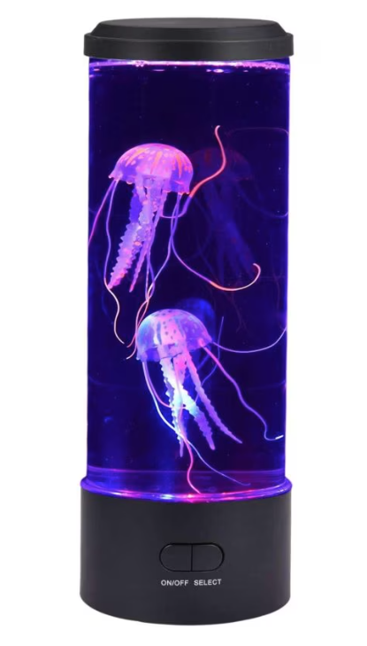 Aceasta este imaginea corespunzatoare acestui obiect