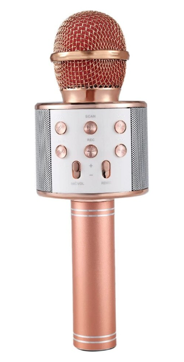 Aceasta este imaginea corespunzatoare acestui obiect