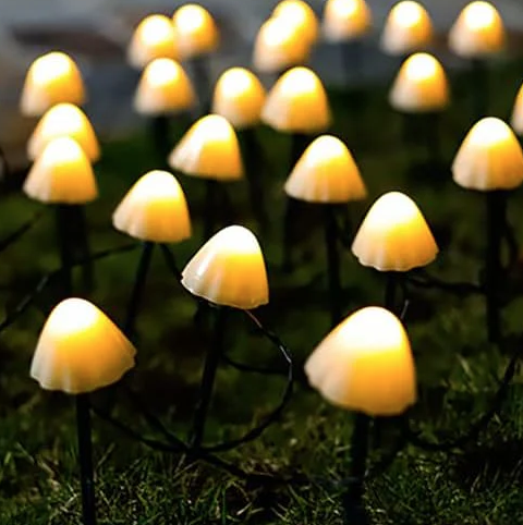 Aceasta este imaginea corespunzatoare acestui obiect